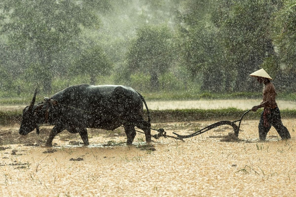 15-Day Laos Adventure: From Northern Highlands to Southern Islands - photo 24